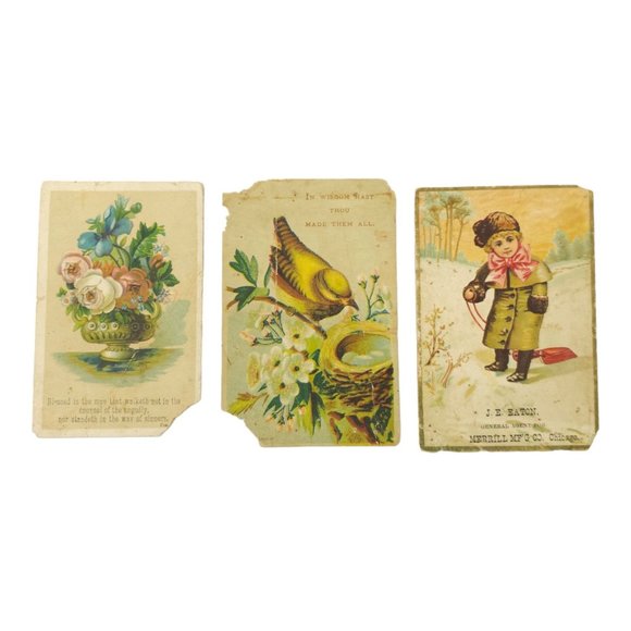 Victorian 3 Trade Cards Floral Bouquet Bird Nest Child With Sled Advertisement - Picture 1 of 10